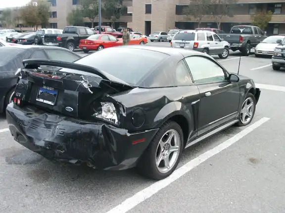 stang03.webp
