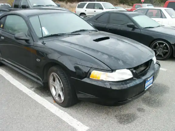 stang04.webp