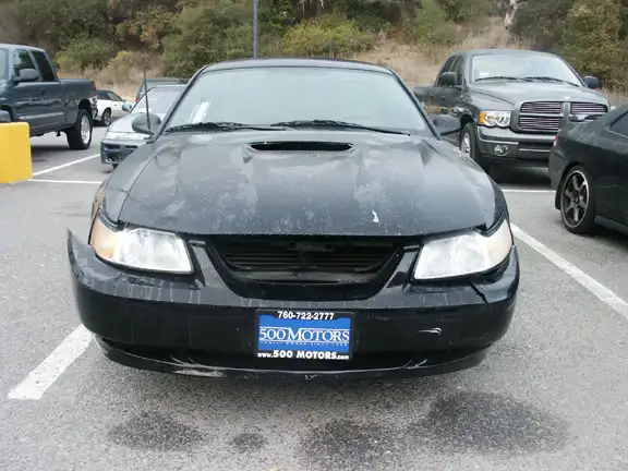 stang05.webp