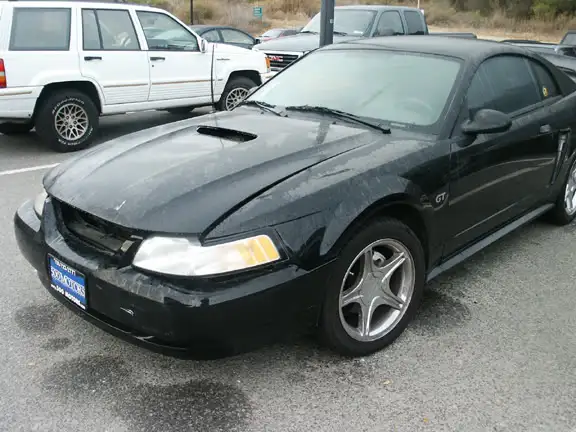stang06.webp