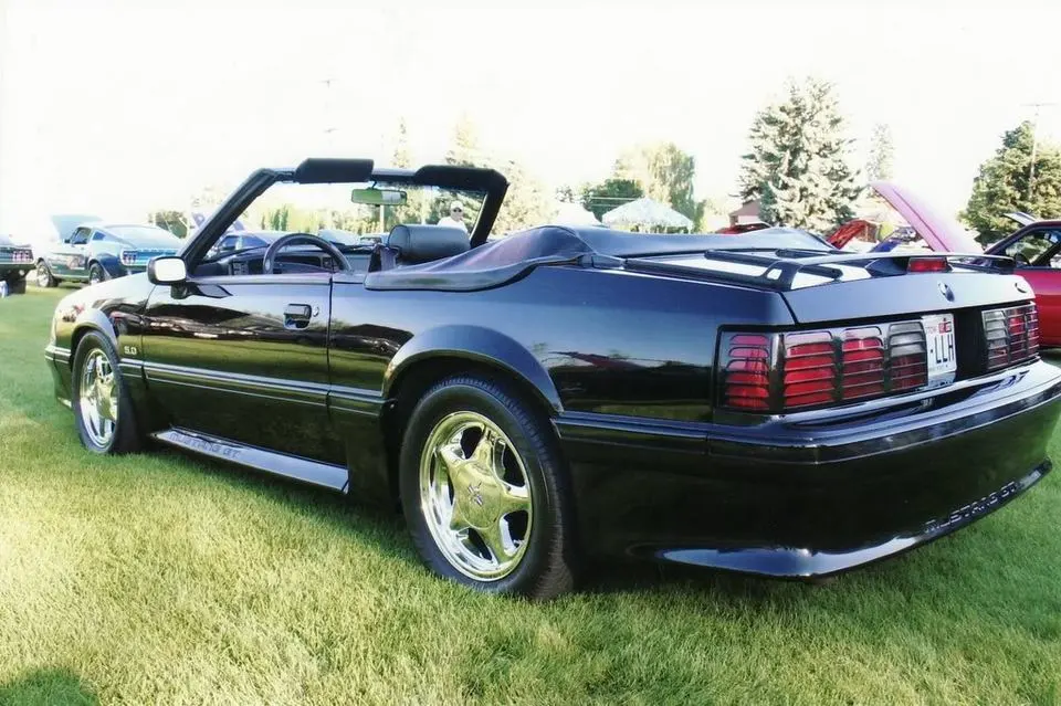 Stang07-1.webp