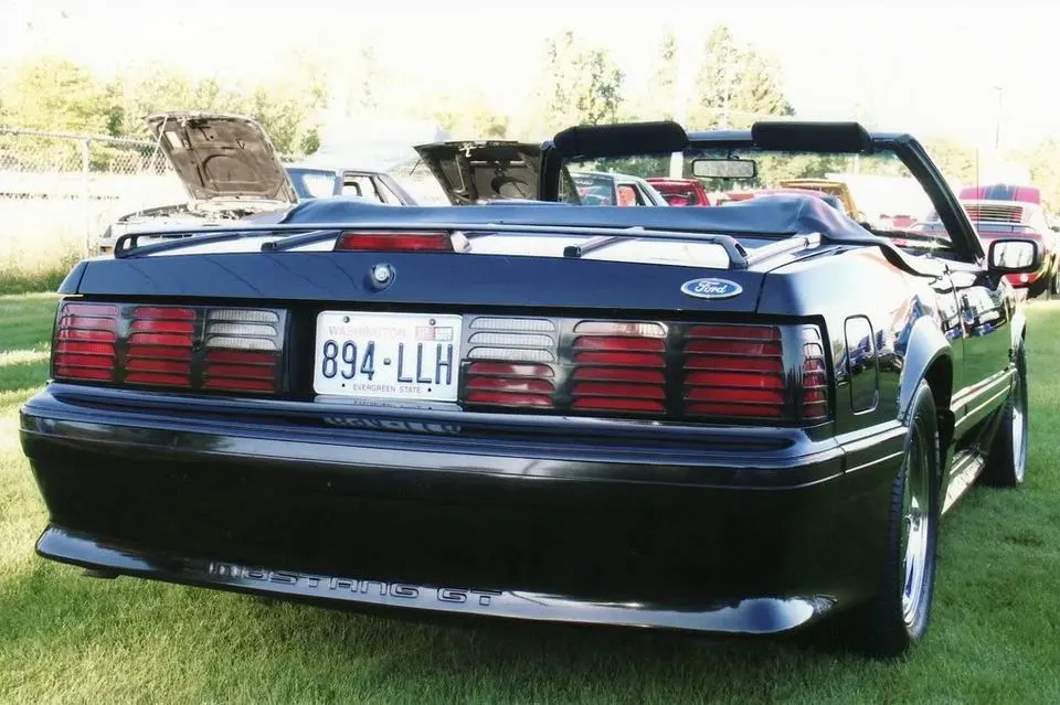 Stang07-3.webp