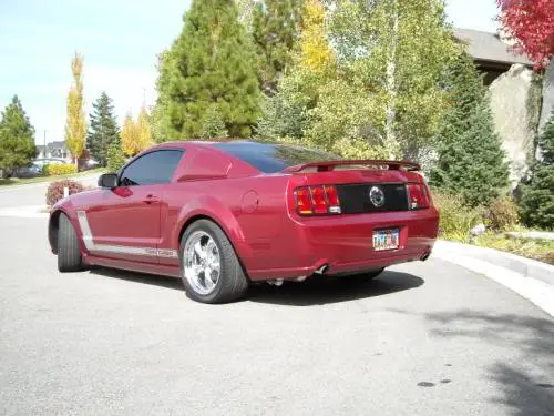 stang08e.webp