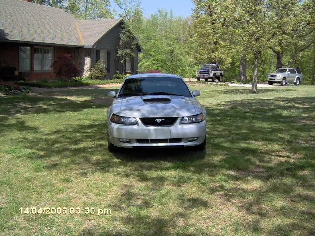 stang092.webp