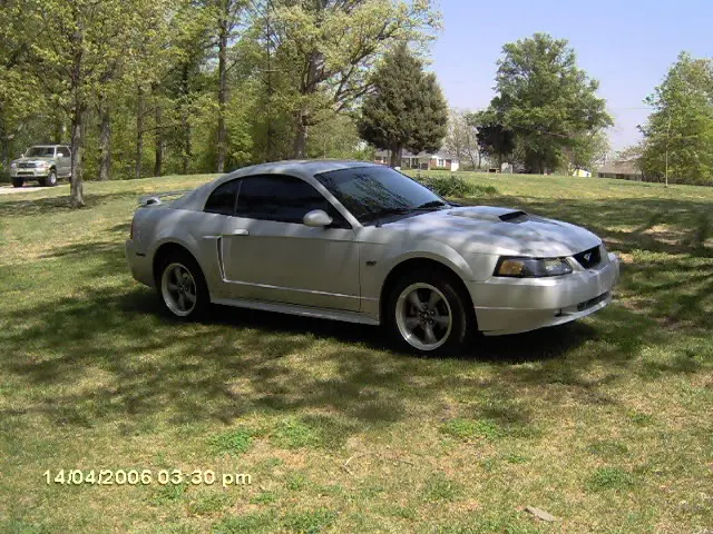 stang093.webp