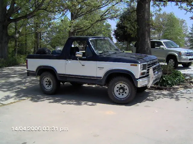 stang096.webp