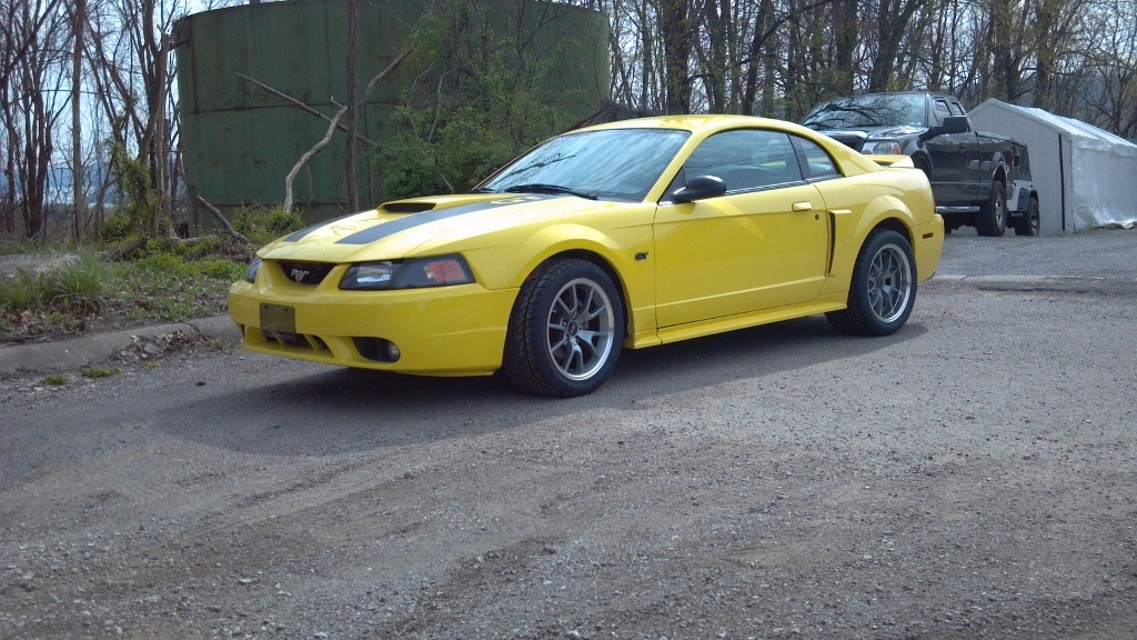 stang1 (1024x576).webp