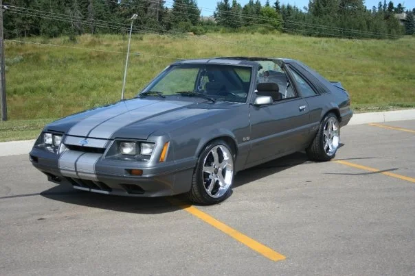 stang1.webp