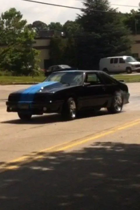 stang1.webp