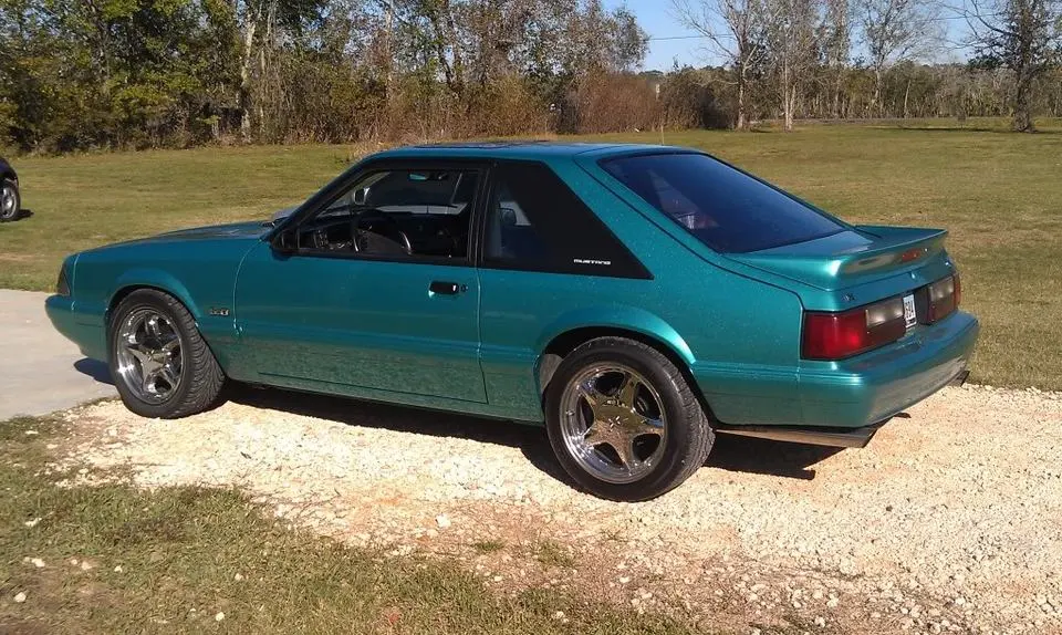 stang1.webp