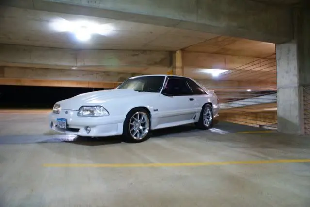 stang1.webp
