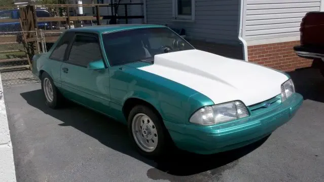stang1.webp