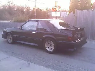 stang1.webp