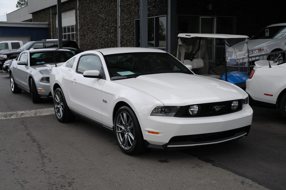 stang1.webp