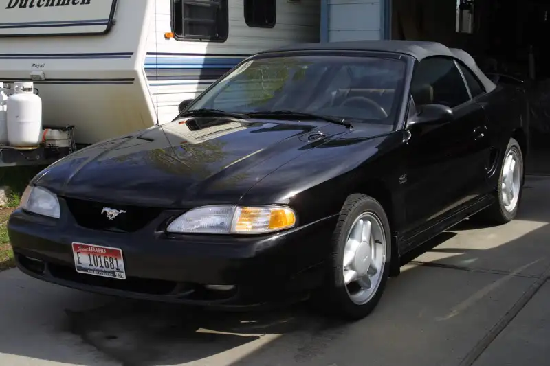 Stang1.webp