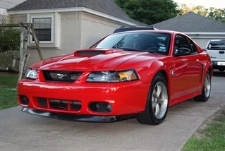 stang1.webp