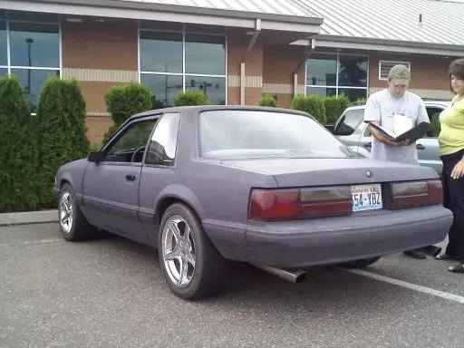 stang1.webp