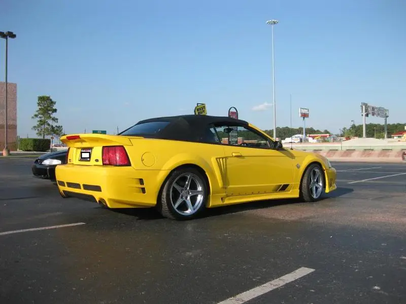 stang1.webp