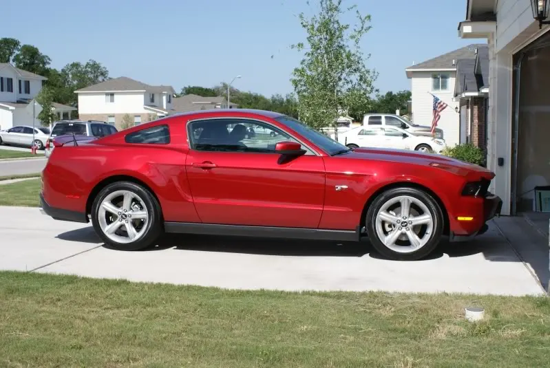 Stang1.webp