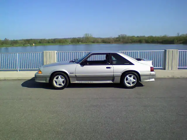 stang1.webp