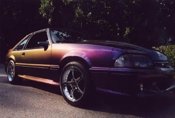 Stang1.webp
