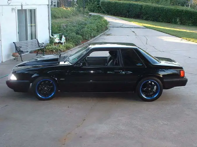 stang1.webp