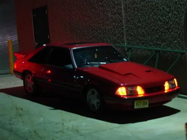 stang1.webp