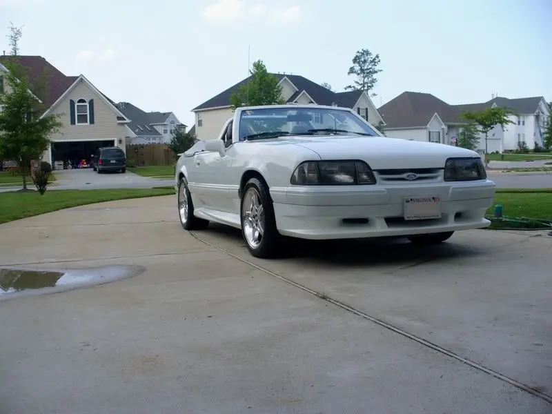 stang1.webp