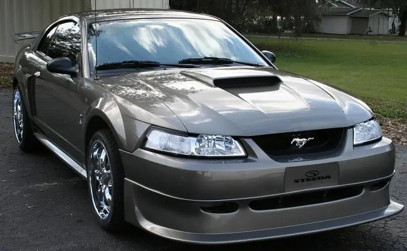stang1.webp