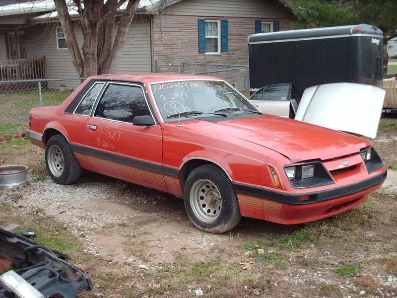 stang1.webp