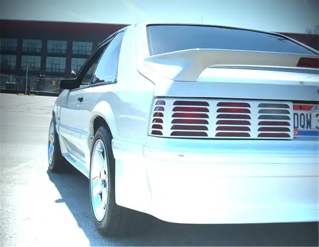 stang1.webp