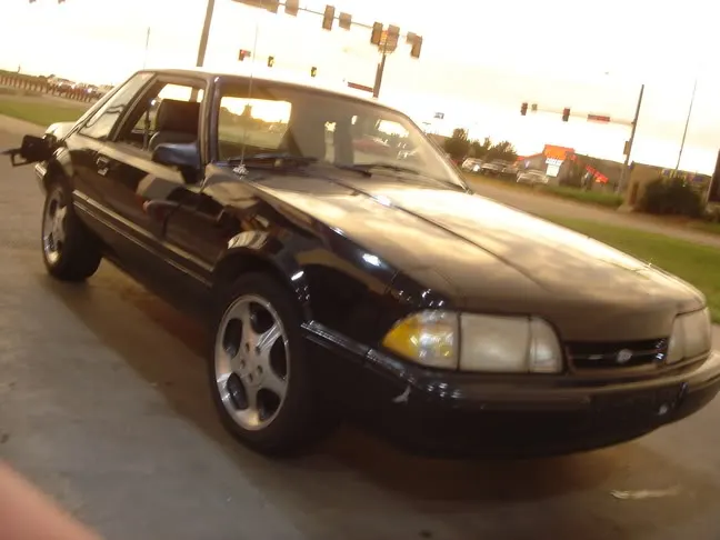stang1.webp
