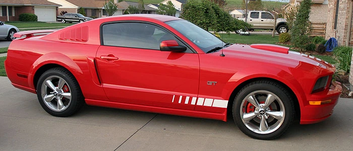 stang1.webp