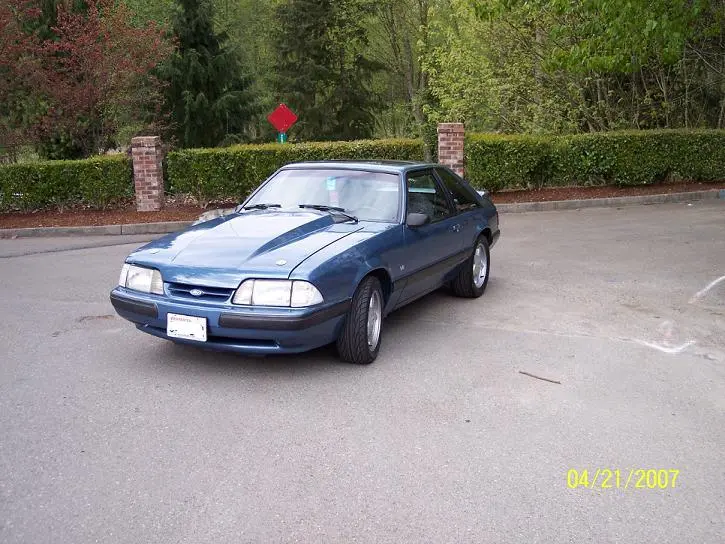 stang1.webp