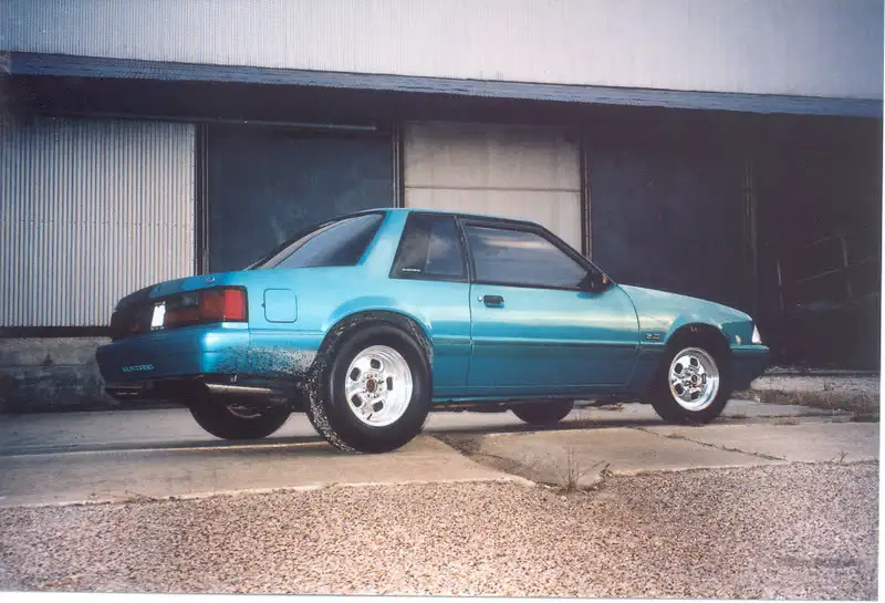 stang1.webp