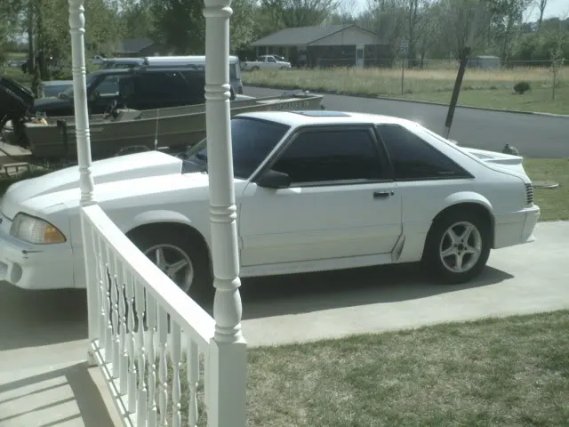 stang1.webp