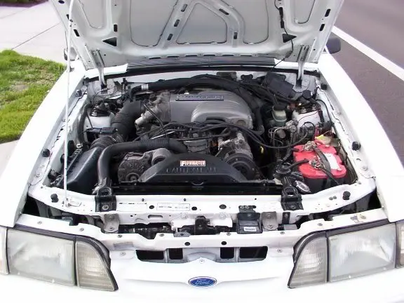 stang1.webp