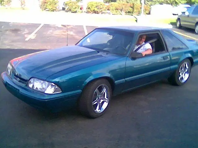 stang1.webp