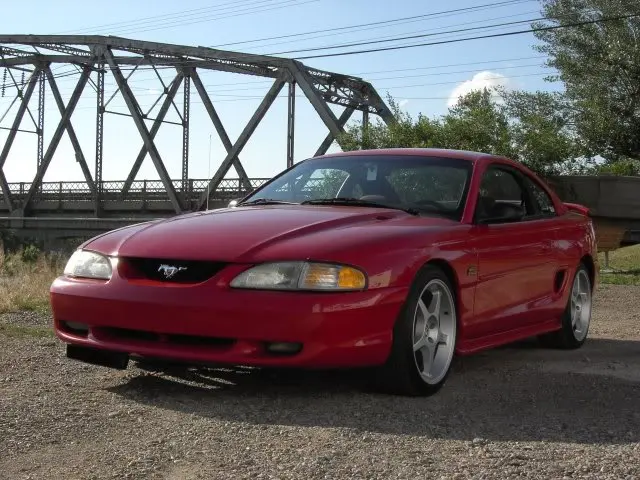 stang1.webp