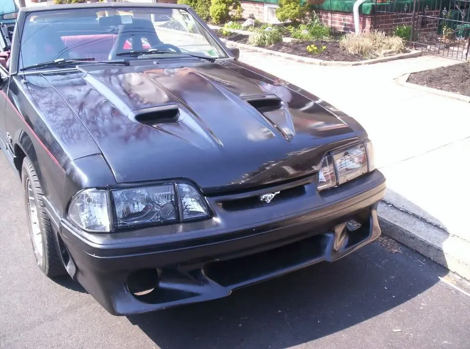stang1.webp