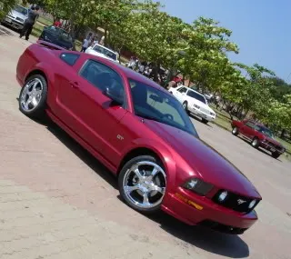 Stang1.webp