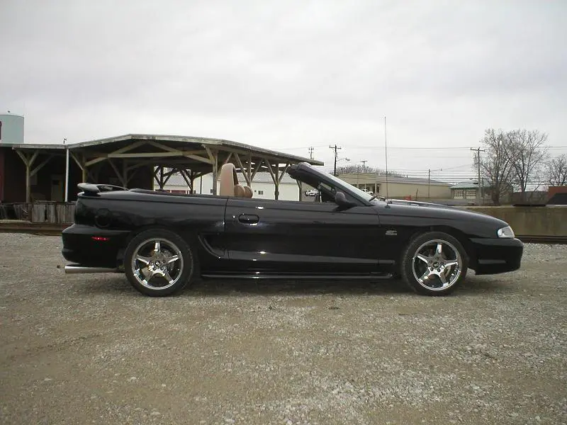 stang1.webp