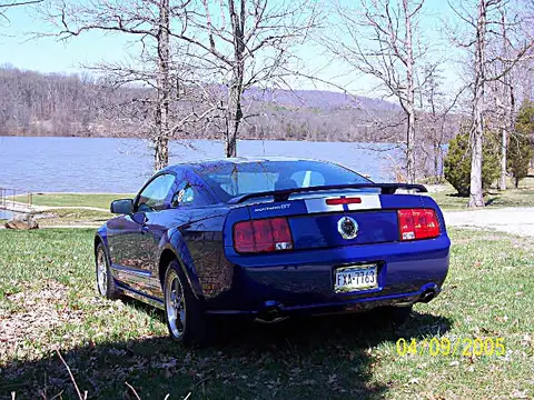 stang1.webp