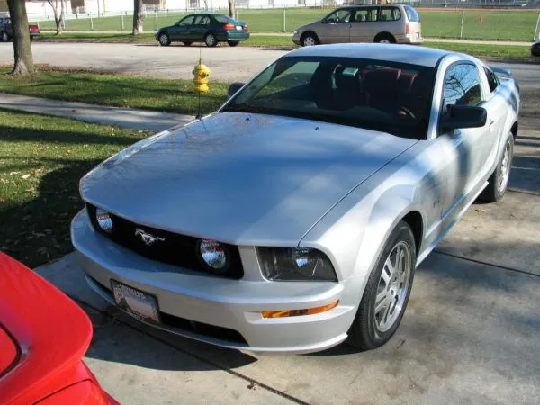 stang1.webp