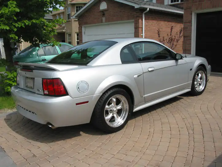 stang1.webp