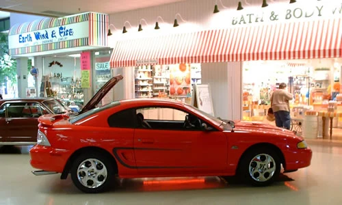 stang1.webp