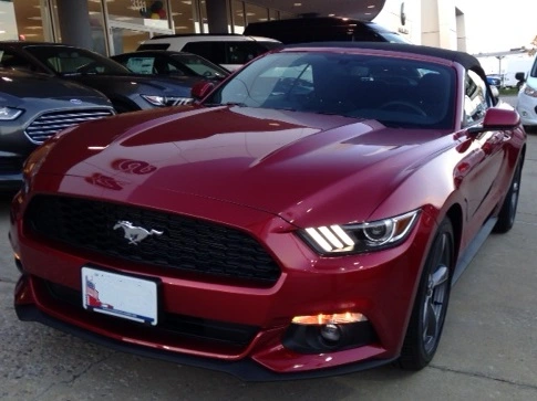 Stang1.webp