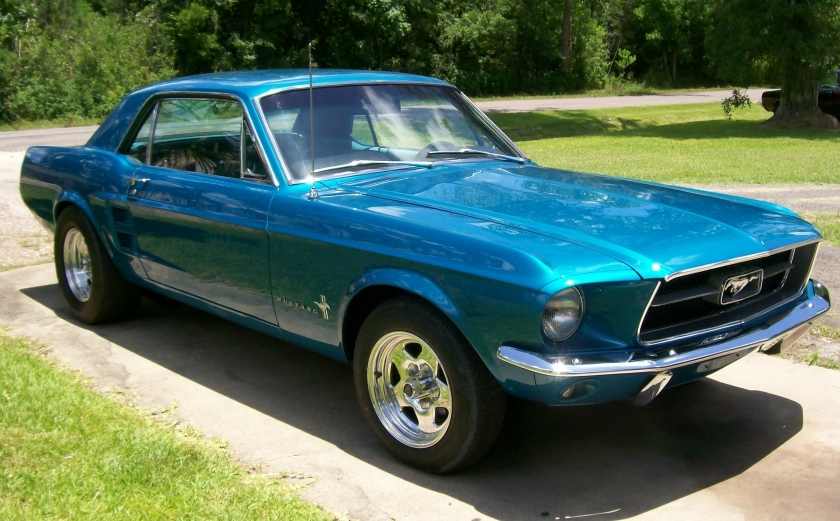 stang1.webp