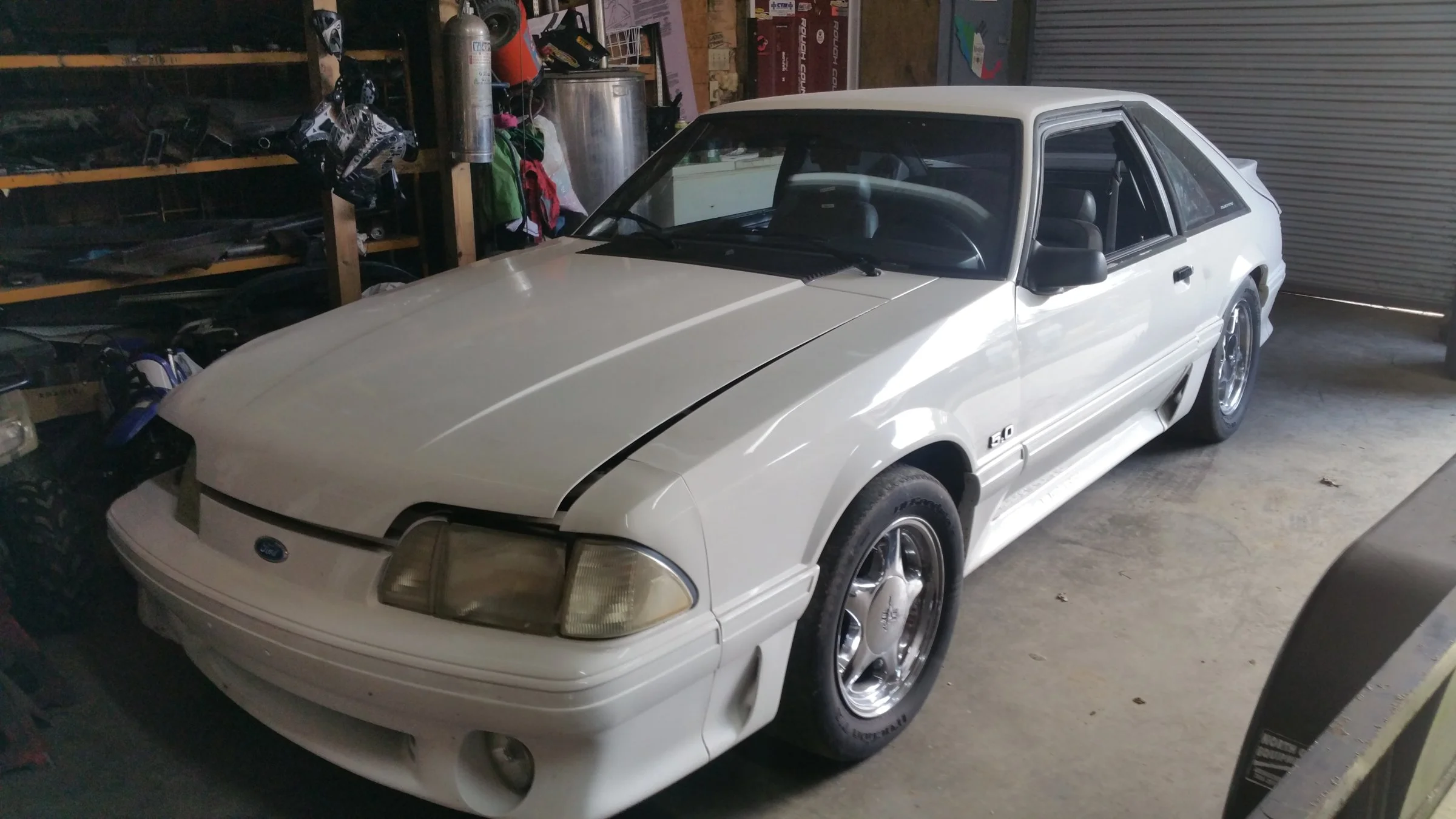 stang1.webp
