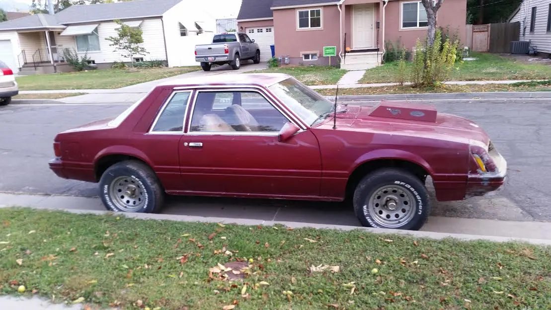 stang1.webp